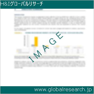 グローバルリサーチ調査レポートのイメージ